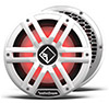 Rockford Fosgate M2D2-10I-G2